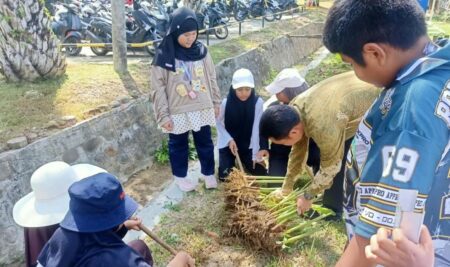 Menanam, Merawat, Lalu Memanen:  Serunya Agrokids